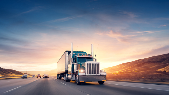 logistica todotortitas Spain